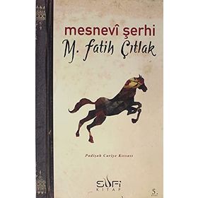 MESNEVI ŞERHI PADIŞAH CARIYE KISSASI - M. FATIH ÇITLAK