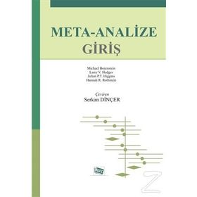 Meta-Analize Giriş - Michael Borenstein Larry V. Hedges Julian P. T. Higgins Hannah R. Rothstein