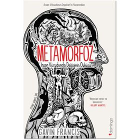Metamorfoz İnsan Vücudunda Değişimin Öyküsü