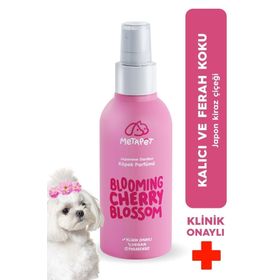 Metapet 150 ml Doğal Japon Kiraz Çiçeği Köpek Koku Giderici Sprey
