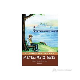 Meteliksiz Gezi - Hüsamettin Tecmen
