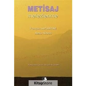 Metisaj Melezlenme - François Laplantine Alexis Nouss