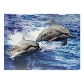 Mettoys 30 x 40 cm 5d Elmas Boyama Sevimli Yunuslar İkili Yunus Resmi Tablosu