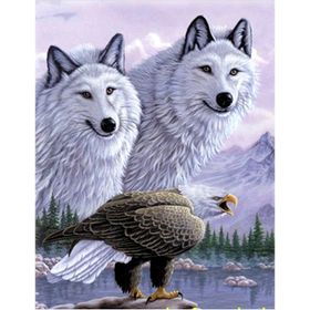 Mettoys 40 x 60 cm 5D Elmas Boyama Kartallı Kurt Resmi Tablosu