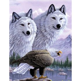 Mettoys 40 x 60 cm 5D Elmas Boyama Kartallı Kurt Resmi Tablosu