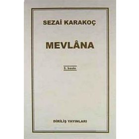 Mevlana Diriliş Yayınları