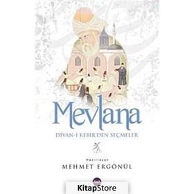 MEVLANA DIVAN-I KEBIR'DEN SEÇMELER - MEHMET ERGÖNÜL