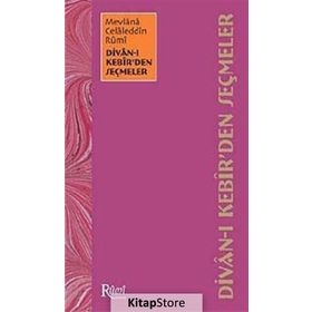 MEVLANA DIVAN-I KEBIR'DEN SEÇMELER - MEHMET ERGÖNÜL