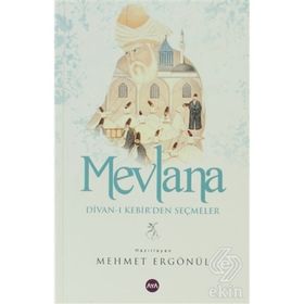 MEVLANA DIVAN-I KEBIR'DEN SEÇMELER - MEHMET ERGÖNÜL