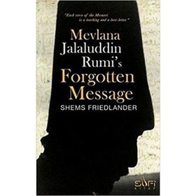 Mevlana Jalaluddin Rumi’s Forgotten Message - Shems Friedlander