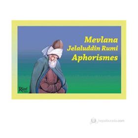 MEVLANA JELALUDDIN RUMI APHORISMES - AHMET GÜZEL