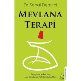 Mevlana Terapi - Senai Demirci
