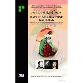 MEVLANA´NIN DAYANILMAZ DAVETINE KATILMAK - HASAN AKAY, İLYAS ÖZTÜRK
