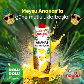Meysu 1 lt Ananas Meyve Suyu