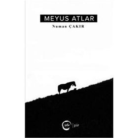 Meyus Atlar - Numan Çakır