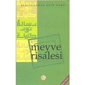 MEYVE RISALESI - BEDİÜZZAMAN SAID NURSI