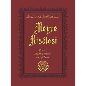 MEYVE RISALESI - BEDİÜZZAMAN SAID NURSI