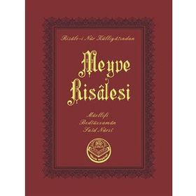 MEYVE RISALESI - BEDİÜZZAMAN SAID NURSI