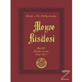 MEYVE RISALESI (CEP BOY) - BEDİÜZZAMAN SAID NURSI