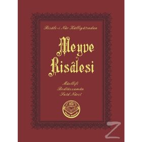 MEYVE RISALESI (CEP BOY) - BEDİÜZZAMAN SAID NURSI