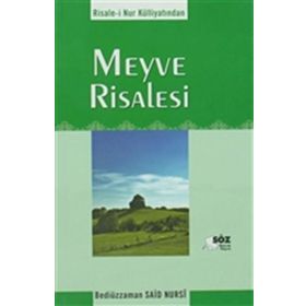 MEYVE RISALESI (CEP BOY) - BEDİÜZZAMAN SAID NURSI
