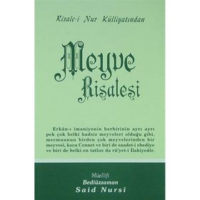 MEYVE RISALESI (ORTA BOY) - BEDİÜZZAMAN SAID NURSI