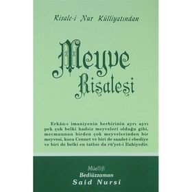 MEYVE RISALESI (ORTA BOY) - BEDİÜZZAMAN SAID NURSI