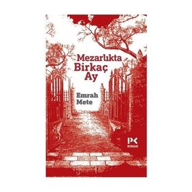 Mezarlıkta Birkaç Ay - Emrah Mete