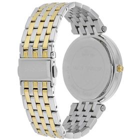 Michael Kors MK3215 Gümüş Kadın Kol Saati
