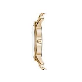 Michael Kors MK3520 Kadın Kol Saati