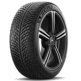 Michelin 225/45 R19 96V XL Pilot Alpin 5 Kış Lastiği
