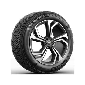Michelin 245/50 R19 105V XL Pilot Alpin 5 Suv ZP Kış Lastiği
