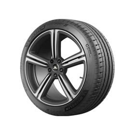 Michelin 255/40 R19 100Y XL Pilot Sport 4 RG Yaz Lastiği 2026