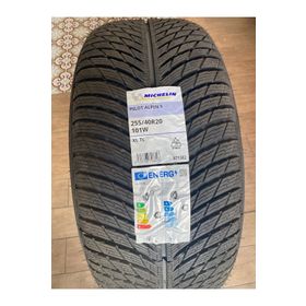 Michelin 255/40 R20 101V XL Pilot Alpin 5 MO1 Kış Lastiği