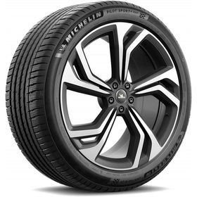 Michelin 285/45 R21 113Y XL Pilot Sport 4 Suv Yaz Lastiği 2021
