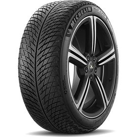 Michelin 295/30 R21 102V XL Pilot Alpin 5 NA0 Kış Lastiği