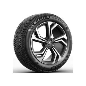 Michelin 295/40 R20 110V XL Pilot Alpin 5 MO1 Kış Lastiği