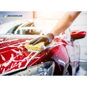 Michelin MC33542 1 lt Pro Serisi Ph Nötr Oto Şampuanı