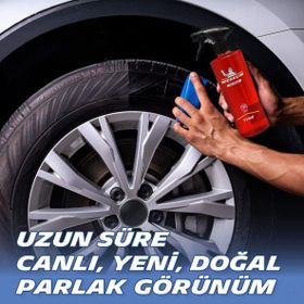 Michelin MC33573 500 ml Pro Serisi Lastik ve Trim Parlatıcı Sprey