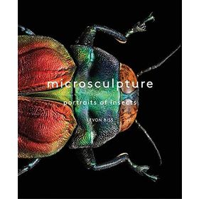 Microsculpture: Portraits of Insects - Levon Biss