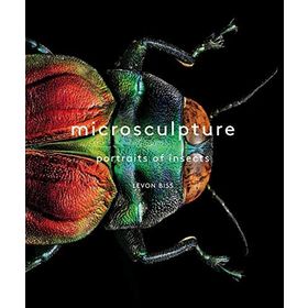 Microsculpture: Portraits of Insects - Levon Biss