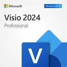 Microsoft EP2-07110 Visio Professional 2024 ESD Lisans