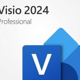 Microsoft EP2-07110 Visio Professional 2024 ESD Lisans
