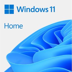 Microsoft KW9-00664 Windows ESD 11 Home Elektronik Lisans