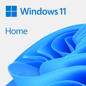 Microsoft KW9-00664 Windows ESD 11 Home Elektronik Lisans