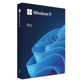 Microsoft Windows 11 Professional Türkçe Yeni