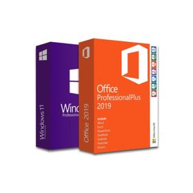 Microsoft Windows 11 Pro+Office 2019 Pro Plus Lisans