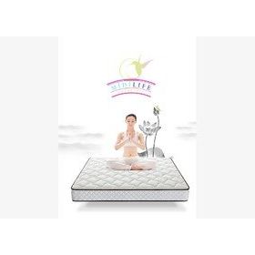 Midilife Lifebed Coton Ortopedik Yaylı 60x100 cm Yatak
