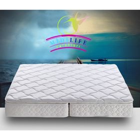 Midilife Ortopedik Yaylı 150x190 cm Yatak