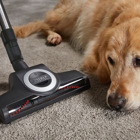 Miele Complete C3 Cat&Dog PowerLine SGEF5 Bordo Elektrikli Süpürge